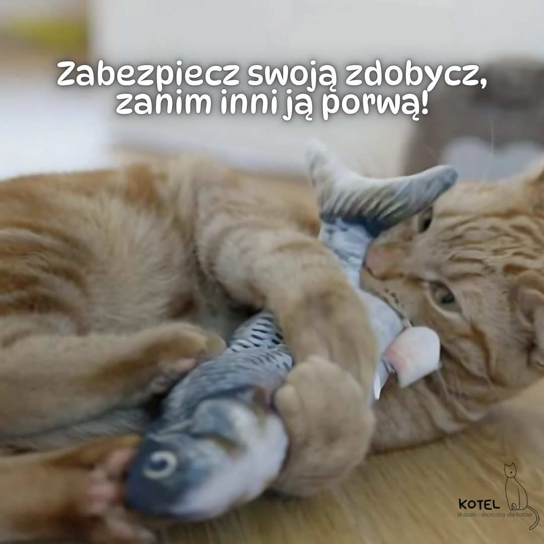 Rybka zabawka zdjęcie 1
