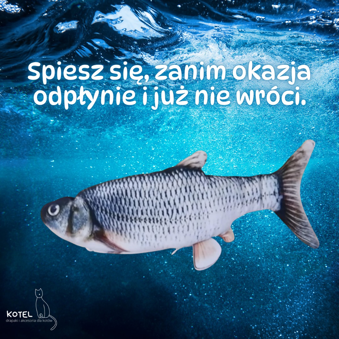 Rybka zabawka zdjęcie 2