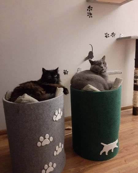 Tuba 50 cm - jedynka