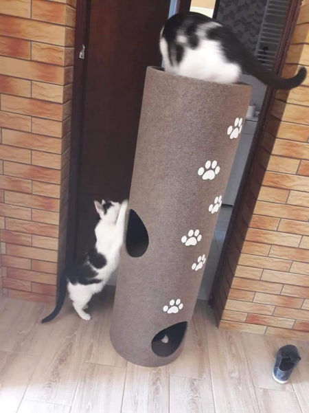 Tuba 120 cm - trójka